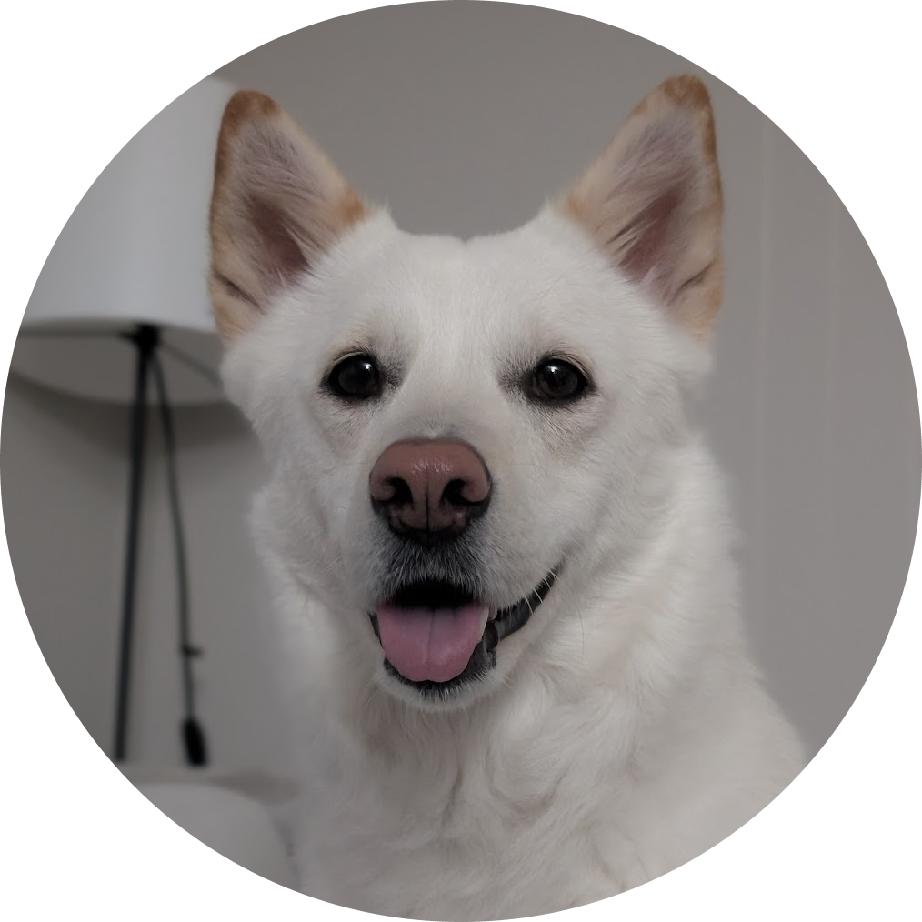 vanilla regular smile